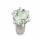 Ring Prasiolith teilvergoldet 5µ