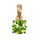 Pendentif péridot plaqué or 5 µ